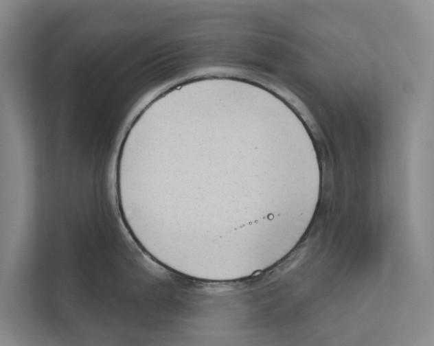 X0000110861199200907161350