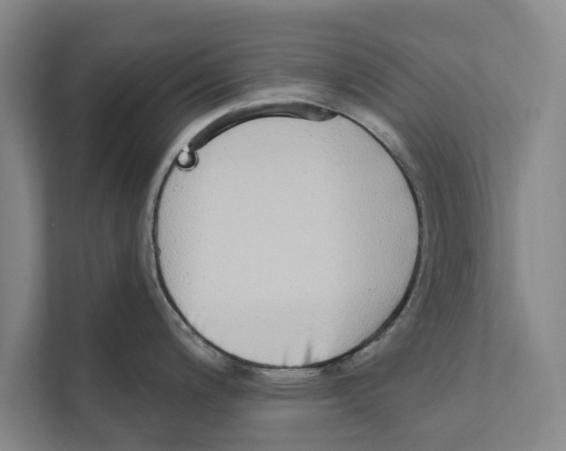 X0000110861200200907161350