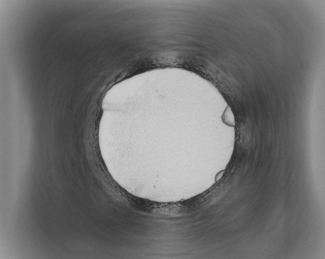 X0000110861201200907161349