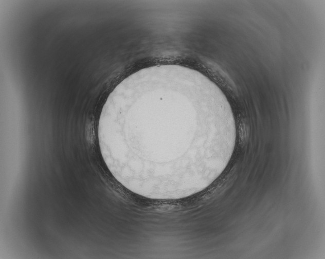 X0000110861204200907161349