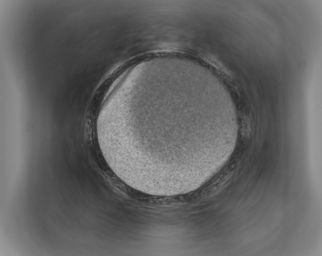 X0000110861208200907161350