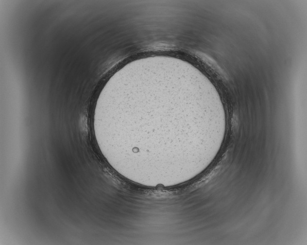X0000110861209200907161350