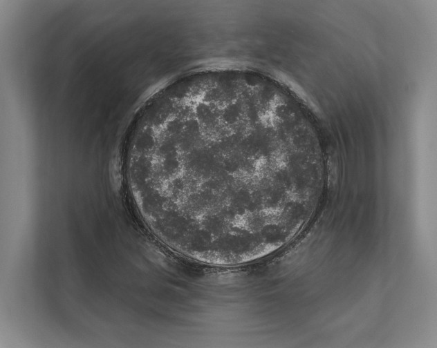 X0000110861213200907161350