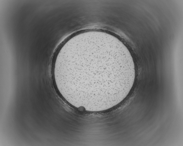 X0000110861216200907161350