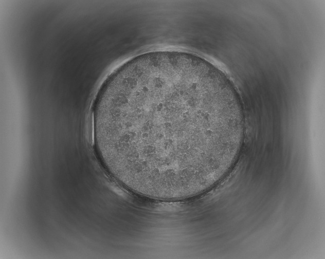 X0000110861223200907161350