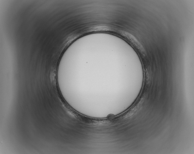 X0000110861225200907161350