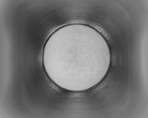 X0000110861228200907161350