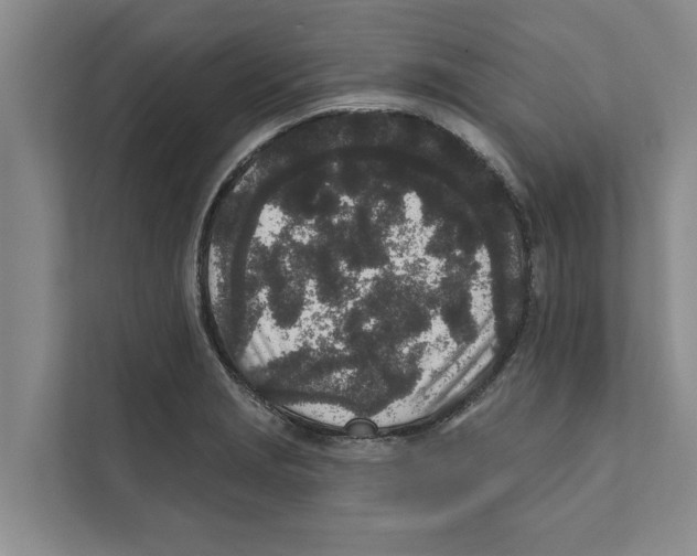 X0000110861229200907161350