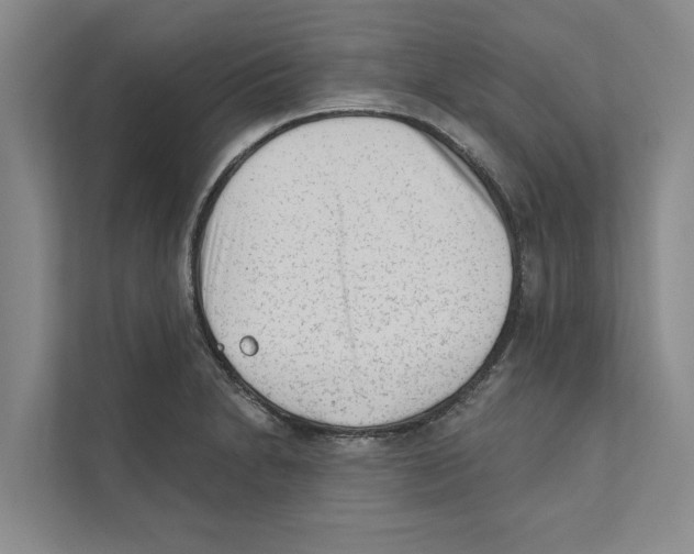 X0000110861230200907161350