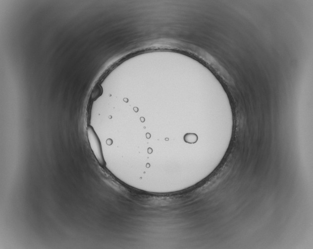 X0000110861232200907161350