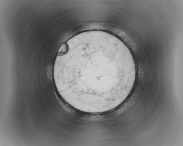 X0000110861233200907161350