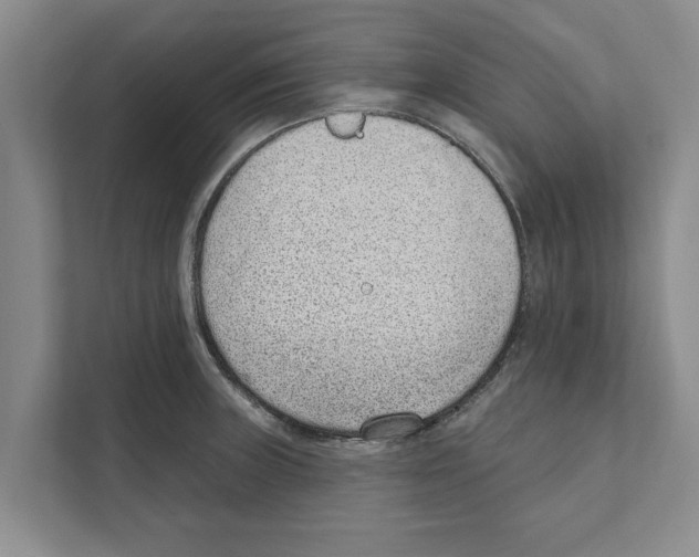X0000110861235200907161350