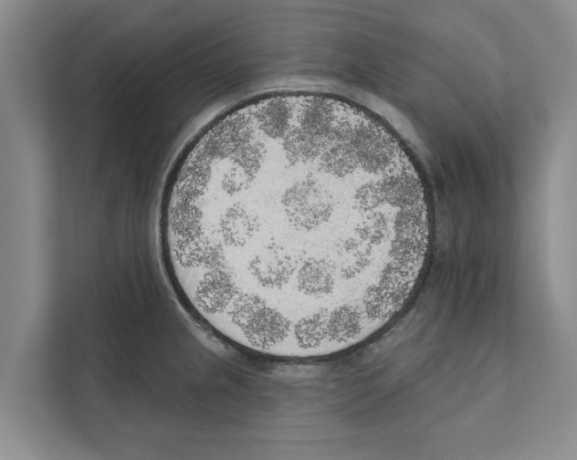 X0000110861237200907161350