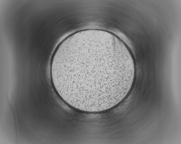 X0000110861238200907161350