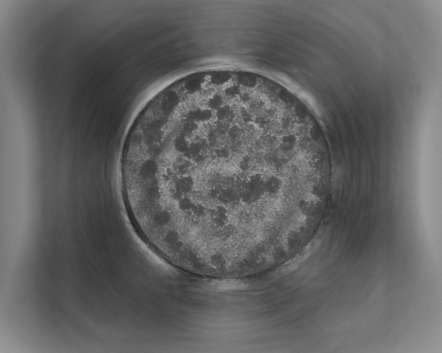 X0000110861239200907161350