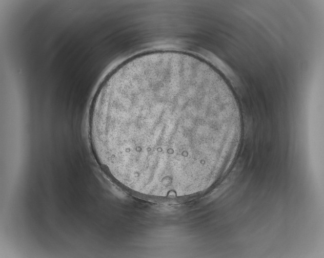 X0000110861240200907161350