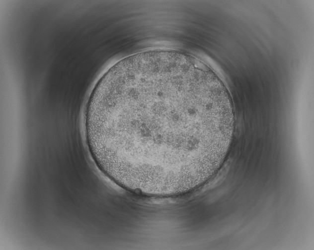 X0000110861243200907161350
