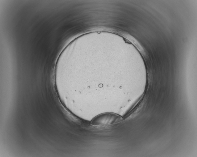 X0000110861244200907161350