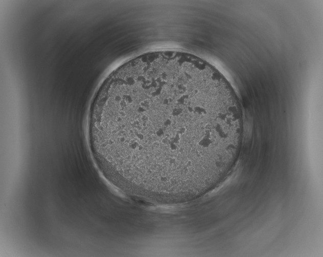 X0000110861245200907161350