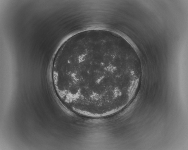 X0000110861246200907161350