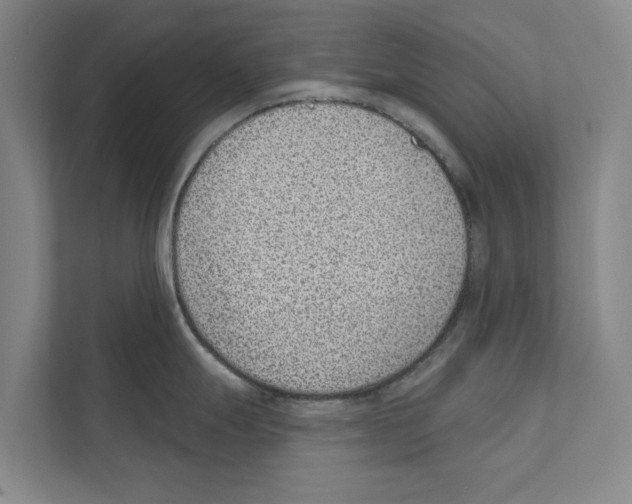 X0000110861247200907161350