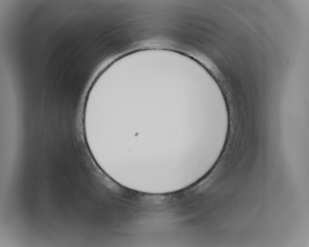 X0000110861248200907161350