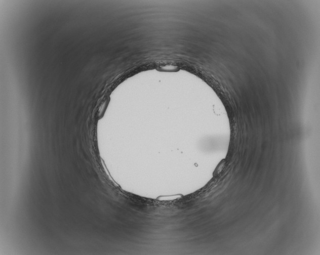 X0000110861249200907161349
