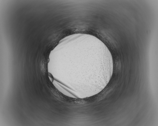 X0000110861250200907161349