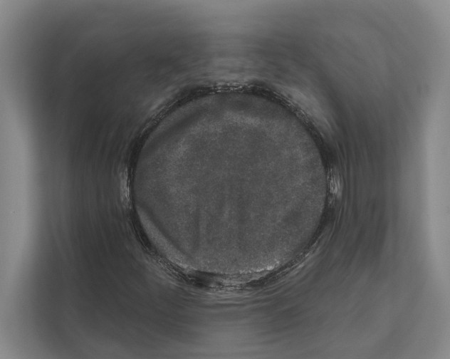 X0000110861252200907161349