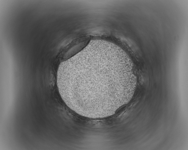 X0000110861253200907161349