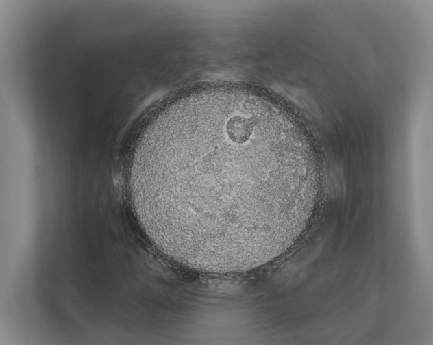 X0000110861254200907161349