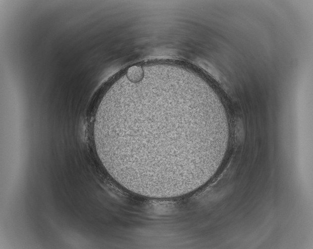 X0000110861258200907161349