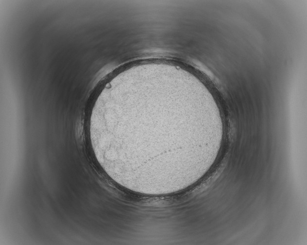 X0000110861259200907161349