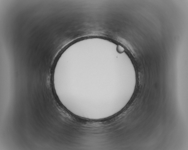 X0000110861260200907161349