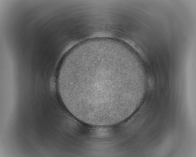 X0000110861266200907161349