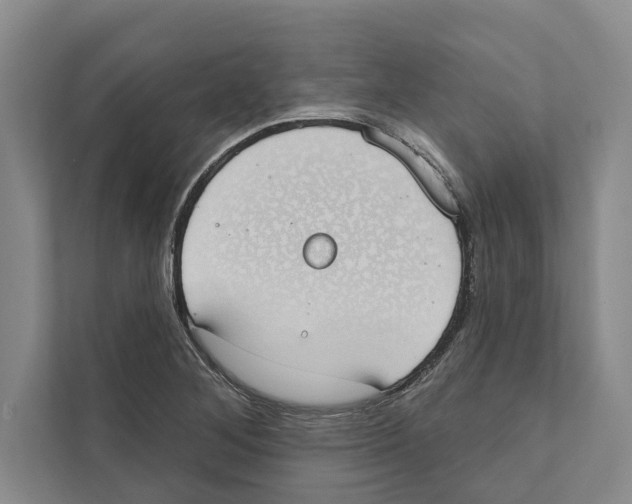 X0000110861268200907161349