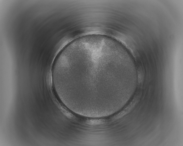 X0000110861274200907161349