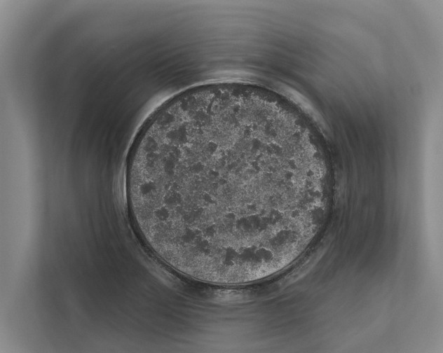X0000110861275200907161349
