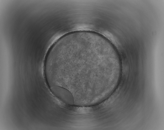 X0000110861277200907161349