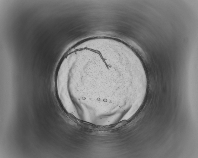 X0000110861280200907161349
