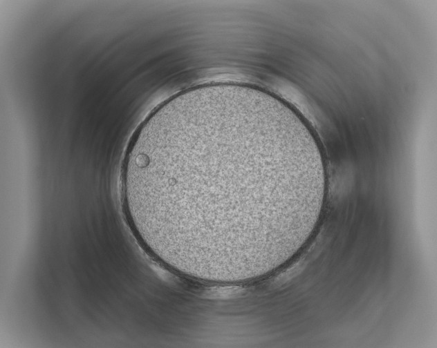 X0000110861282200907161349