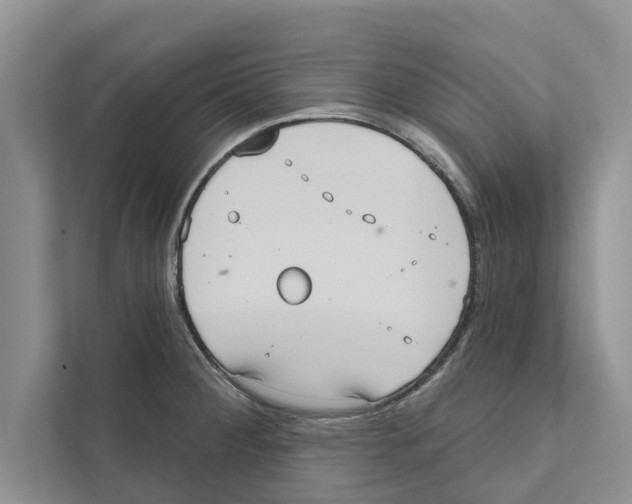 X0000110861284200907161349