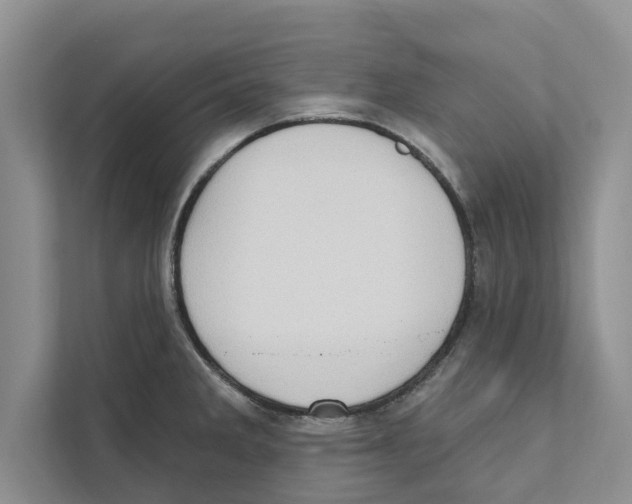 X0000110861285200907161349