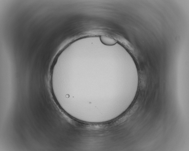X0000110861286200907161349