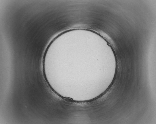X0000110861288200907161349