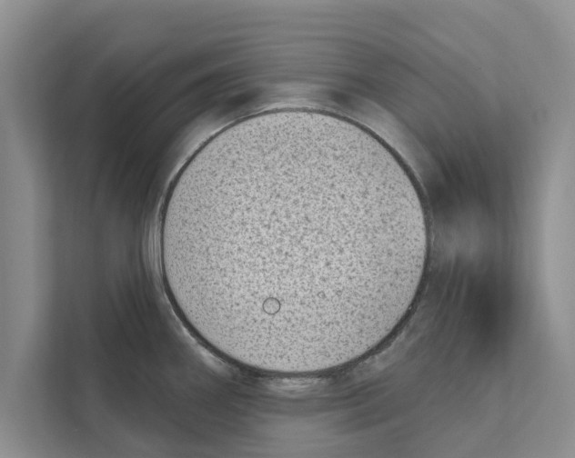 X0000110861290200907161349