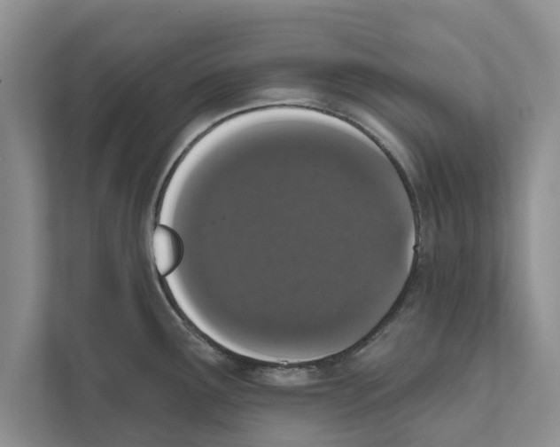 X0000110861291200907161349
