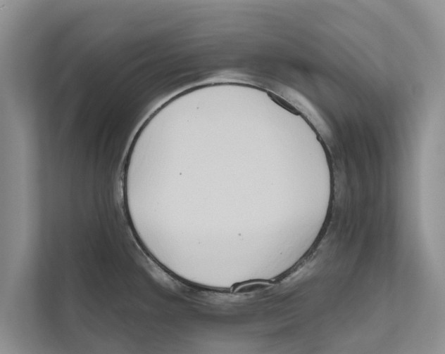 X0000110861292200907161349