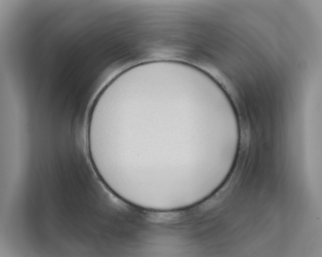 X0000110861294200907161349