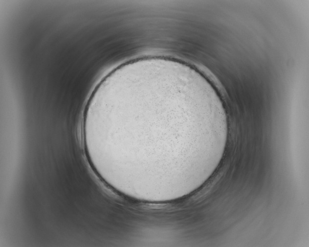X0000110861295200907161349